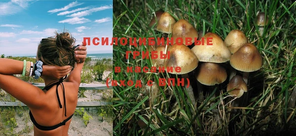 mix Горняк