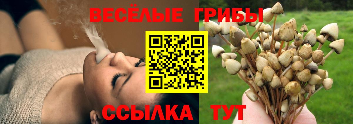 Галлюциногенные грибы прущие грибы Осинники